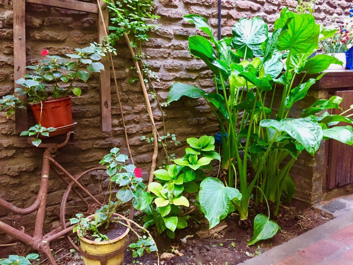 Lina'S Tango Guesthouse Buenos Aires Zewnętrze zdjęcie